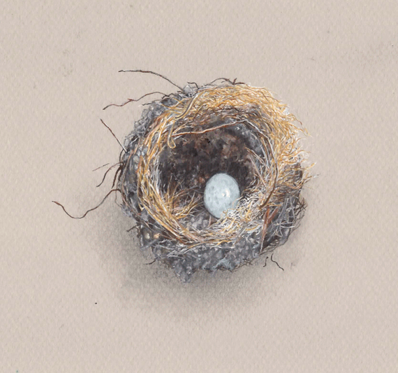 Finch Nest