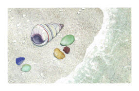 Haitian Tree Snail Shell & Sea Glass