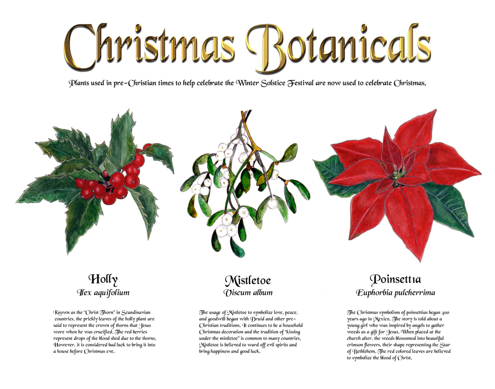 Christmas Botanicals