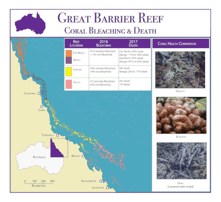 Great Barrier Reef  Coral Bleaching
